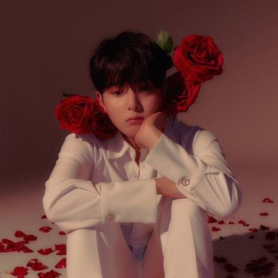 Ryeosomnias Méxicoさんのプロフィール画像