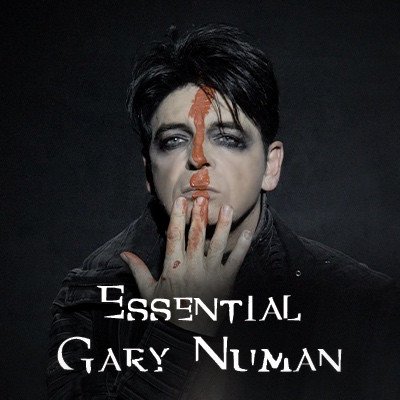 Lifelong Gary Numan fan since the beginning. Love all types rock, metal, industrial anything that gets the blood pumping.