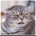 andrea d (@motorheadgirl56) Twitter profile photo andrea d (@motorheadgirl56) Twitter profile photo