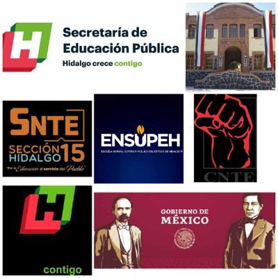 Las escuelas normales son aquellas instituciones que ofrecen programas de licenciatura con perspectivas teórico-metodológicas específicas para la formación.