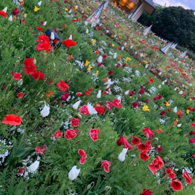 n37cj's profile picture. 20↑ ¦ 御本人様B済 ¦ 24時間以内に返信がなかった場合追加でリプを送ってください🙇🏻‍♀️