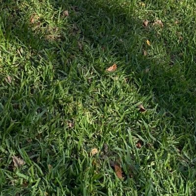 ccvb89's profile picture. 