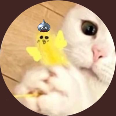 🐈第六感を信じて生きてます🦋好きにtweetしますが、誰かと言い争う気は無いのでそういう絡みは御遠慮ください🥺この世はゲーム₍Ꙭ̂₎最大HP・回避率・防御力・回復力・毒耐性を上げたい😼糖質は制限しない🍯🐝🧸PUFAフリー🐷🐟💦ワク済も反ワクも仲良しのマスクフリーのヨガスタジオやってます🧘‍♀️