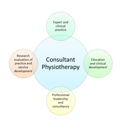 Consultant Physiotherapist Professional Network (CPPN) UK @thecsp