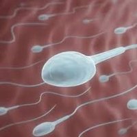 shige044 ver 3.0 (@shigechang) Twitter profile photo