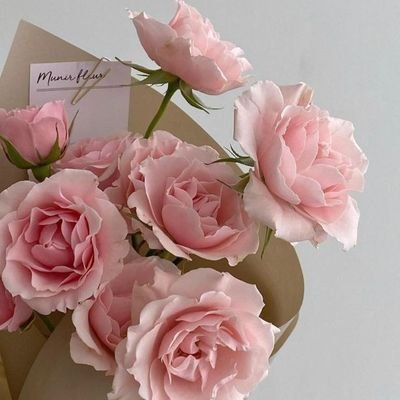 (｡•́︿•̀｡) 🌸さんのプロフィール画像