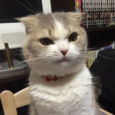 chicknikenfelip's profile picture. @keun16308352