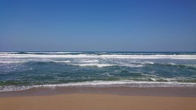 j0vg7's profile picture. 大阪/25/社畜生活中