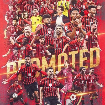 DanNicholsonUK's profile picture. AFC Bournemouth North Stand Season Ticket! We come from League 2! NFL Cardinals. #AFCB #UTCIAD