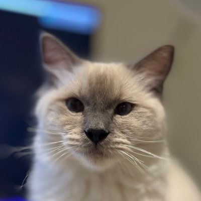 shezhangmeile's profile picture. 我们 https://t.co/tubL8WVQqF 见