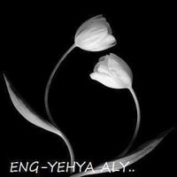 eng. Yehya Aly (@engyehyaaly2) 's Twitter Profile