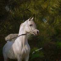 عبدالمجيد (@abuibrahim14335) 's Twitter Profile Photo عبدالمجيد (@abuibrahim14335) 's Twitter Profile Photo
