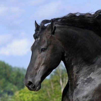 WandererH3's profile picture. Learn. Create.