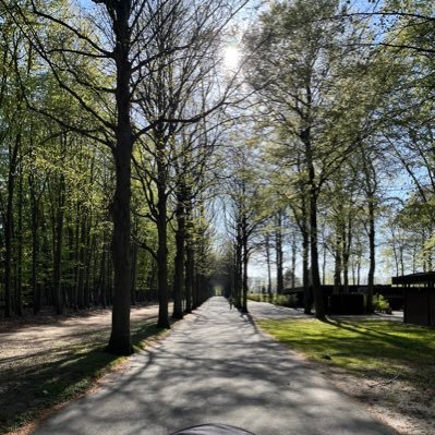 praktiken's profile picture. Doktorand i socialt arbete