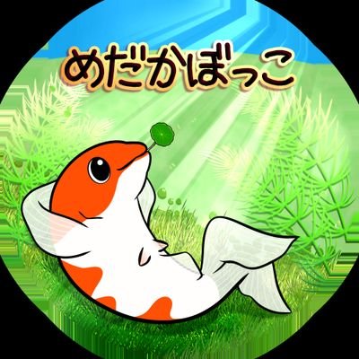 2021.9からめだかを飼い始めました。めだかに魅了されつつ楽しい日々をのんびり書いています。
無言フォロー失礼します🙇♀️⤵️