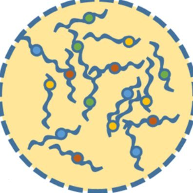 Interested in RNA&protein dynamics, from clustering to aggregation | Student-run account from Multivalent networking and synaptic plasticity lab @IBMB_CSIC