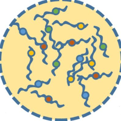 Interested in protein dynamics, from clustering to aggregation | Student-run account of Spatial Control of Biomolecular Dynamics research group @IBMB_CSIC