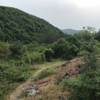 mmtuncer (@mm_tuncer) 's Twitter Profile