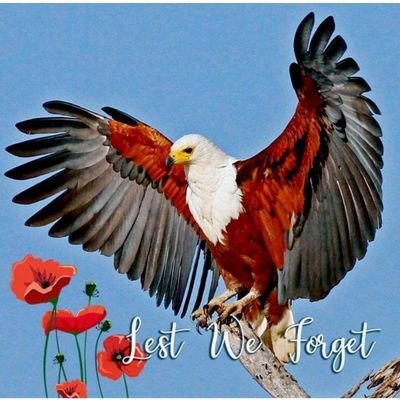 Tattooboud1's profile picture. Take me like I am