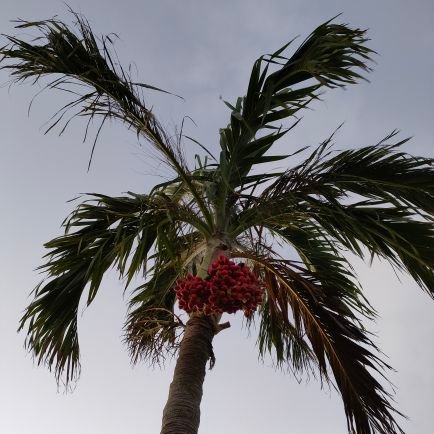 goroniiiiiin's profile picture. WEB制作勉強中。
2022年8月〜9月webデザインスクール。11月〜コーディングを独学で勉強スタート。
2023年11月〜動画編集スタート。
目指すはフリーランス。