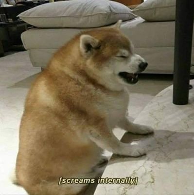 NFTs_on_Sundaes's profile picture. High ticket dropshipper by day, NFTDegen by night | #NFT enthusiast | Pixel art lover | Crypto since 2013 | Casual Gamer