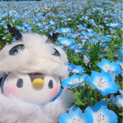 山鳥さんのプロフィール画像