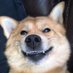 Lynne Low (@lynnelow3) Twitter profile photo Lynne Low (@lynnelow3) Twitter profile photo