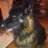 vonclunge's profile image