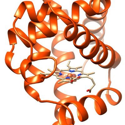 Metall-Containig Radical Enzymes: #HEurope #MSCA Doctoral Network #Researching #Natural and #Artificial #Metallo-Enzymes for #Radical #Biotransformations