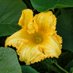 Thepowerofflower (@eebooster) Twitter profile photo
