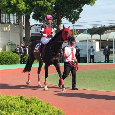 広尾と東サラとYGGとシルクで一口馬主やってます！いつかG1勝ちたい⋯