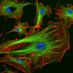 University of Cambridge Pathology Postdocs (@campathpostdocs) Twitter profile photo University of Cambridge Pathology Postdocs (@campathpostdocs) Twitter profile photo