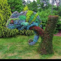 Tuatha Dé Danann (@liamoknowsbest) 's Twitter Profile