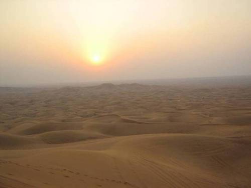 AnnetteLievaart's profile picture. Programmamanager onderwijslogistiek Lodewijk College; docent wiskunde; (voormalig) lerarenopleider. Tweet op persoonlijke titel.