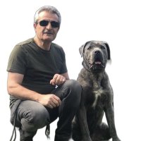 Dr.Gürbüz Ertürk(@psikovet) 's Twitter Profile Photo