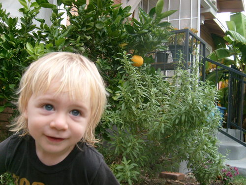 mamaleahita's profile picture. BFing, BWing, AP MAMA to my adventurously spirited ds! ♥