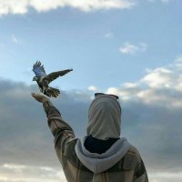 Zahraalkaby (@zahraalkaby) 's Twitter Profile Photo Zahraalkaby (@zahraalkaby) 's Twitter Profile Photo