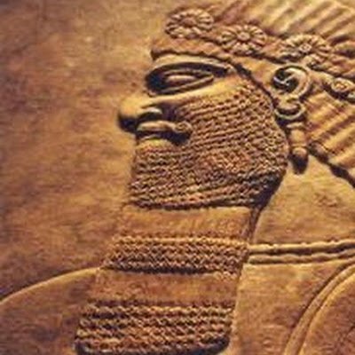 EnkiTrump's profile picture. 