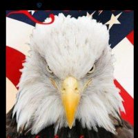 trackandsandfan (@trackandsandfan) 's Twitter Profile Photo