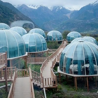 zanbulu123's profile picture. Word peace