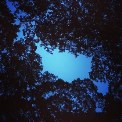 Kesunon（ケスノン）さんのプロフィール画像