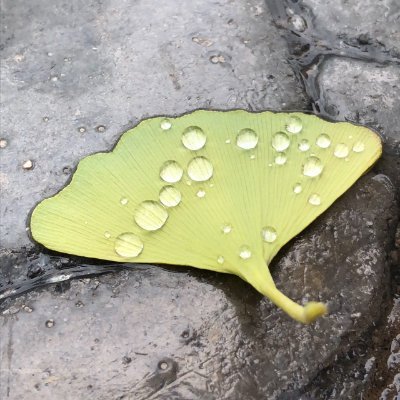 yuguo_im's profile picture. https://t.co/HaSjzhkkPN