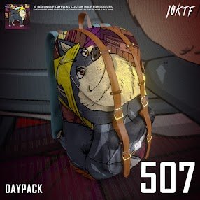 Windowsw1010's profile picture. 事后诸葛亮