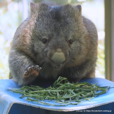 You0n1g2j4ae's profile picture. 