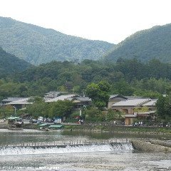 aetimcgraty's profile picture. Marines