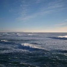 MarianaCTrench1's profile picture. London born Celt. Right wing. Big fan of 
orthodox church architecture, Enid Blyton & the Ford Consul.