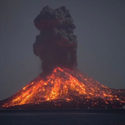 QuimbanoPrime's profile picture. I’m special and fun.