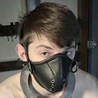 Stitcher (@substitcher) 's Twitter Profile