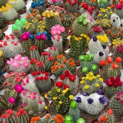 fey_dirk's profile picture. Systems biologist, cancer researcher, control engineer, Systems Biology Ireland @sysbioire @UCDMedicine @UCDDublin