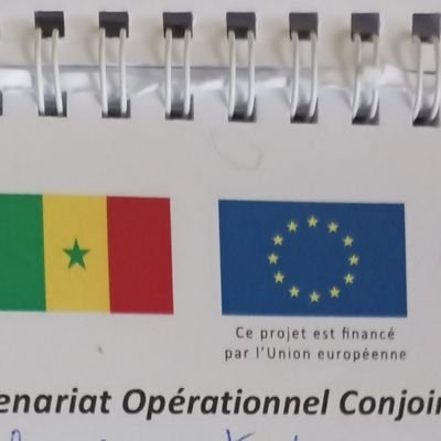 Partenariat Opérationnel Conjoint_projet financé par l'Union européenne